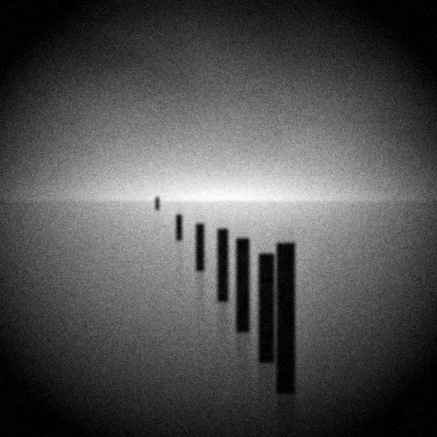 A soft square picture of groyne posts and a bright horizon